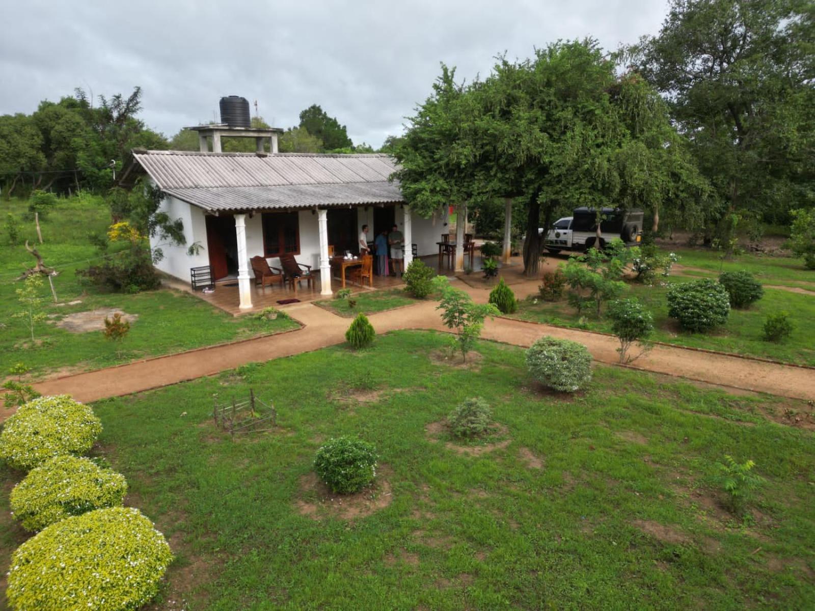Sigiri Arana Sigiriya Hotel Ngoại thất bức ảnh