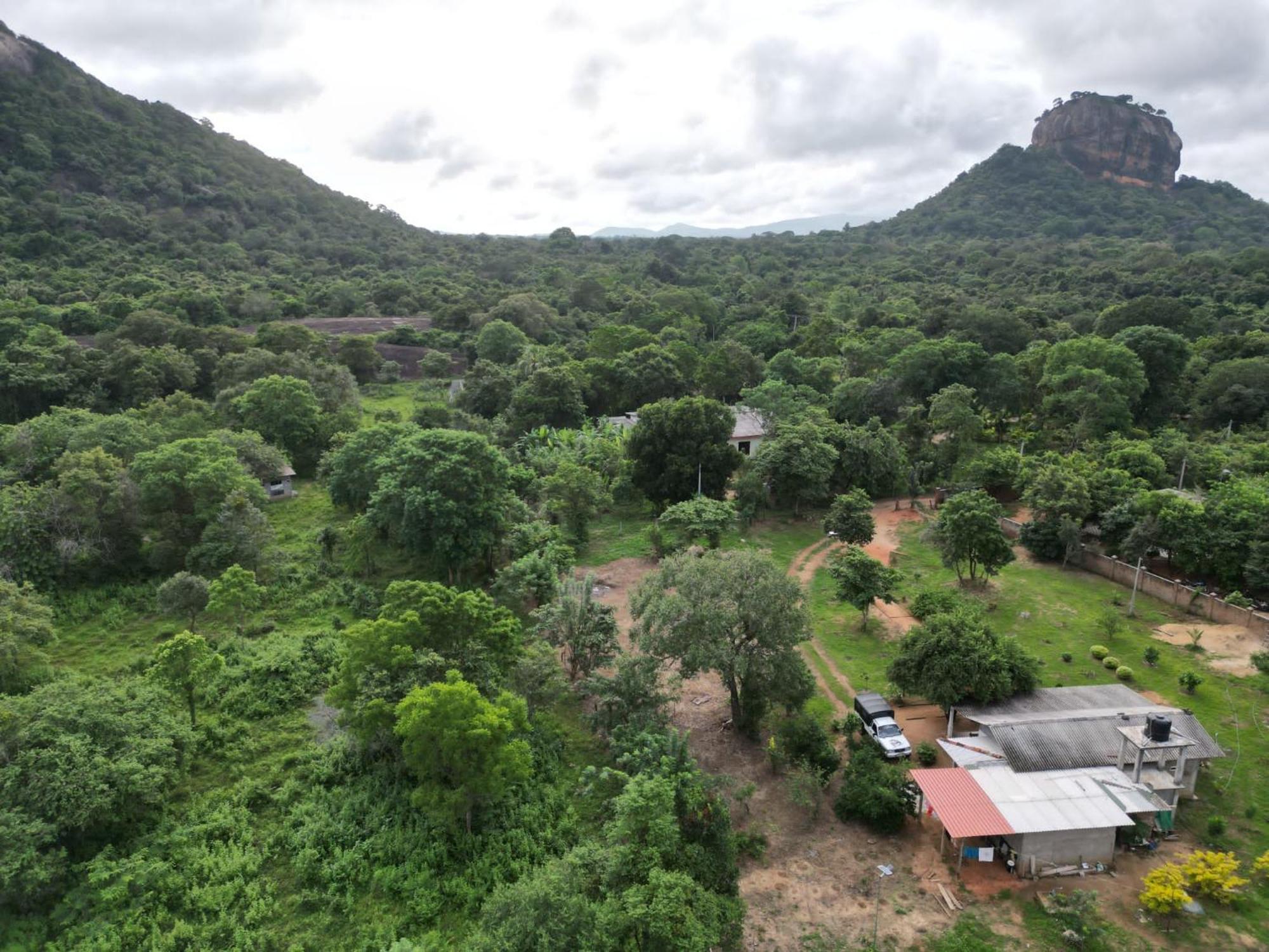 Sigiri Arana Sigiriya Hotel Ngoại thất bức ảnh
