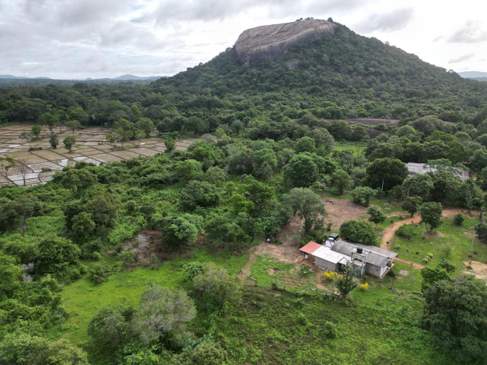 Sigiri Arana Sigiriya Hotel Ngoại thất bức ảnh