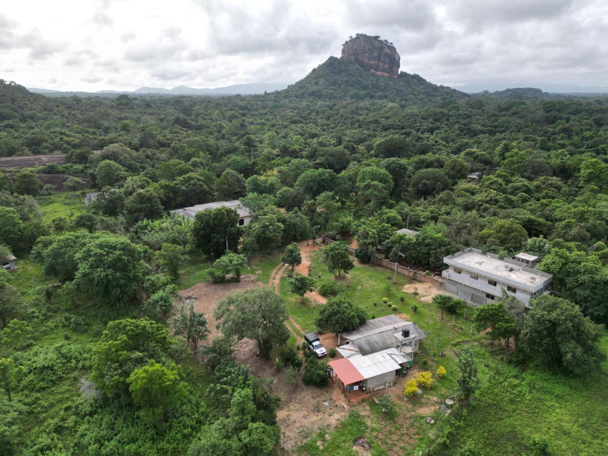Sigiri Arana Sigiriya Hotel Ngoại thất bức ảnh