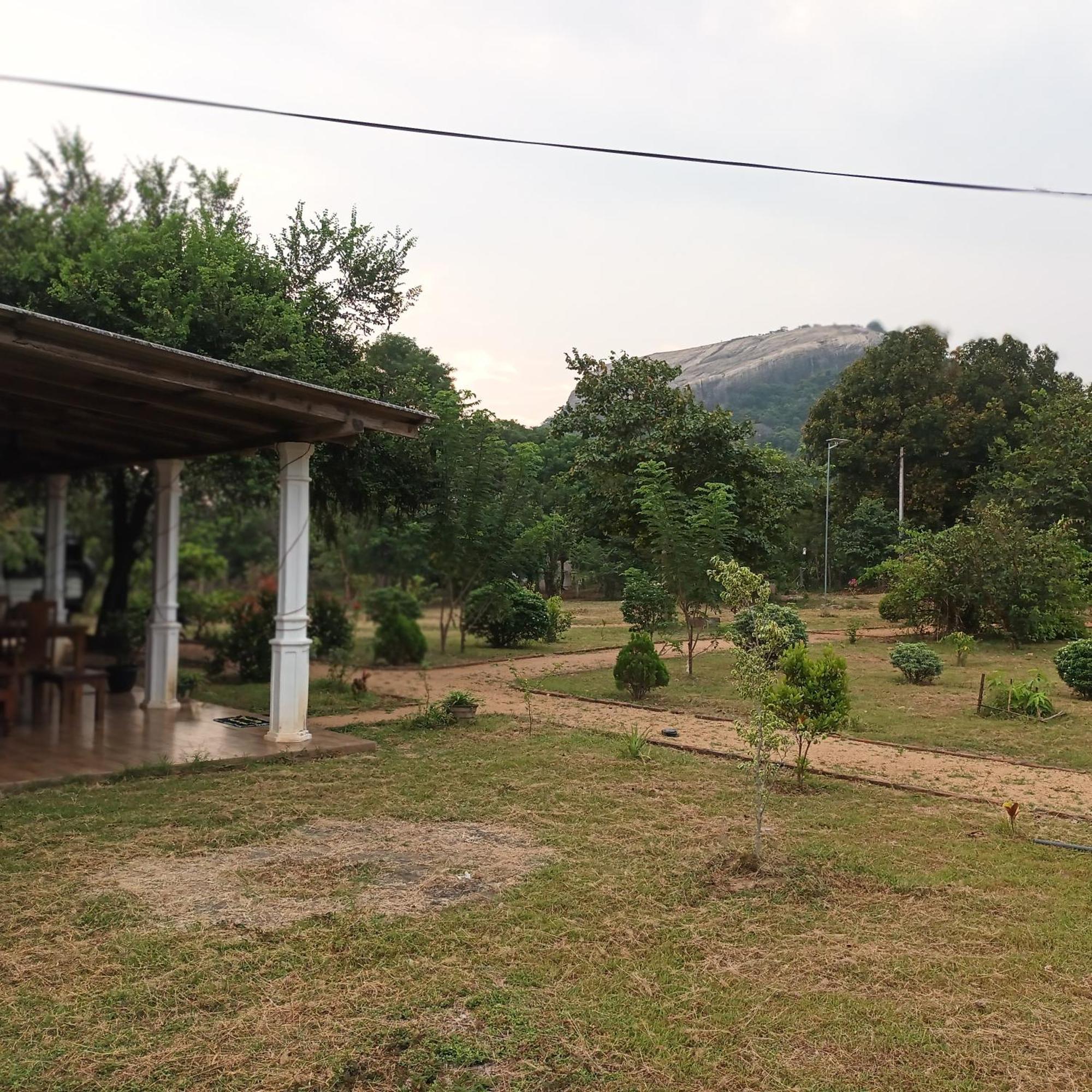 Sigiri Arana Sigiriya Hotel Ngoại thất bức ảnh